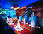 uae_exc_71_s.jpg