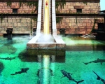 uae_exc_82_s.jpg