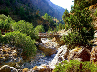 samaria-canyon4.jpg