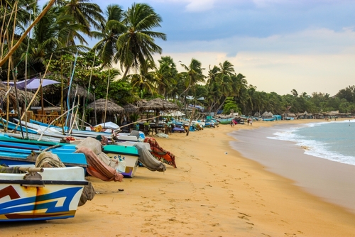Ingen visumavgift till SriLanka