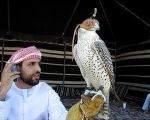 uae_exc_54_s.jpg