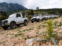 jeepsafary1_s.jpg