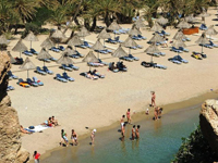 Palm-paradise-3.jpg